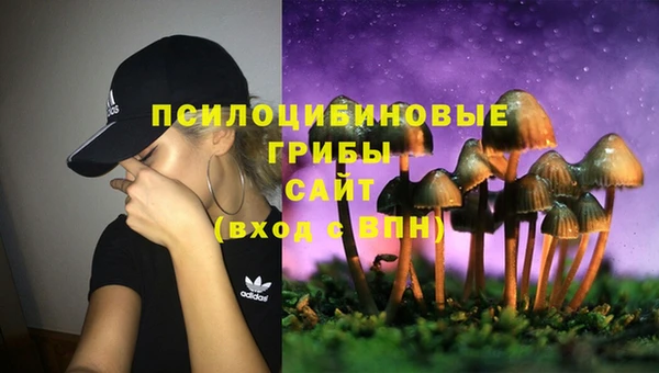 твердый Коряжма