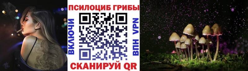 Галлюциногенные грибы Magic Shrooms Апшеронск